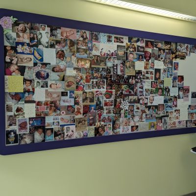 Whiteboard with baby photos, almost full (adjacent to the Spring Bouquet mural)
