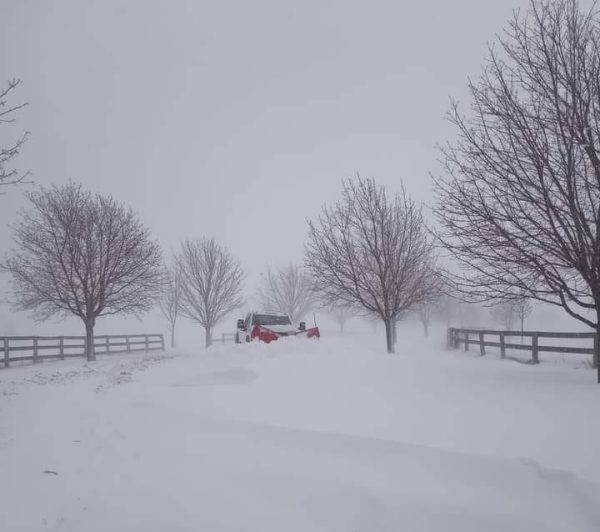 Truck stuck in the snow